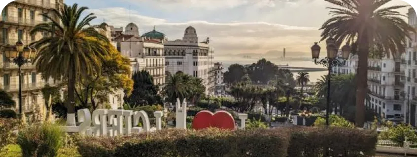 A wide shot capturing a scene from Algiers, Algeria, one of the cities the translation company Aurora Hikma works out of.